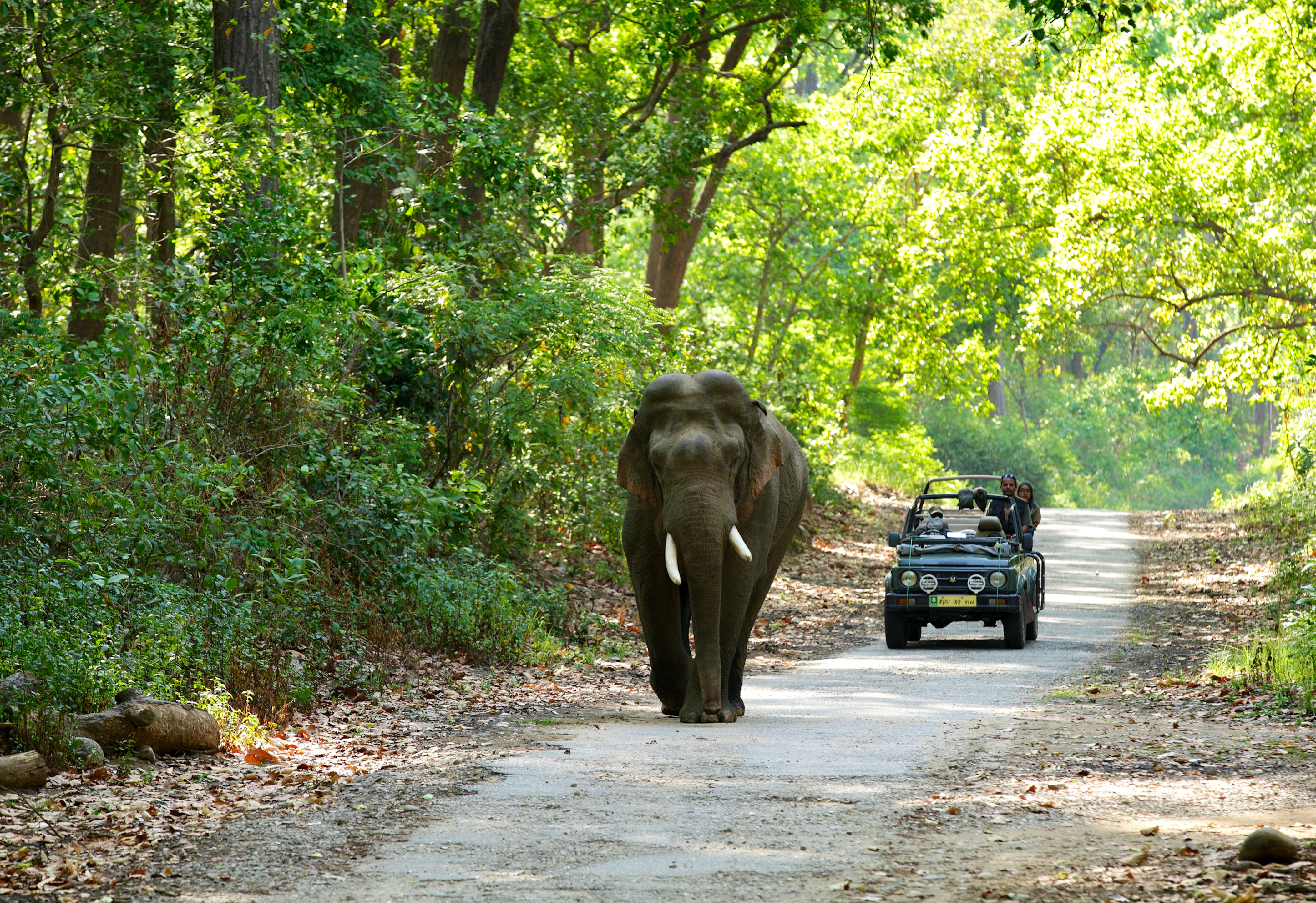 02 Night Nainital, or 01 Jim Corbett & 02 Night Kausani