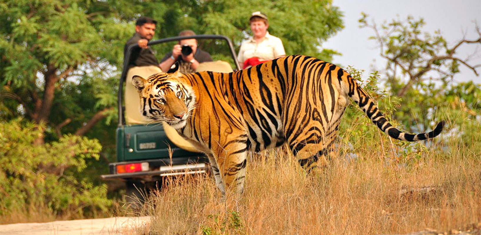 02 Night Nainital, or 01 Night Jim Corbett, & 01 Haridwar + Rishikesh & 02 Night Mussoorie
