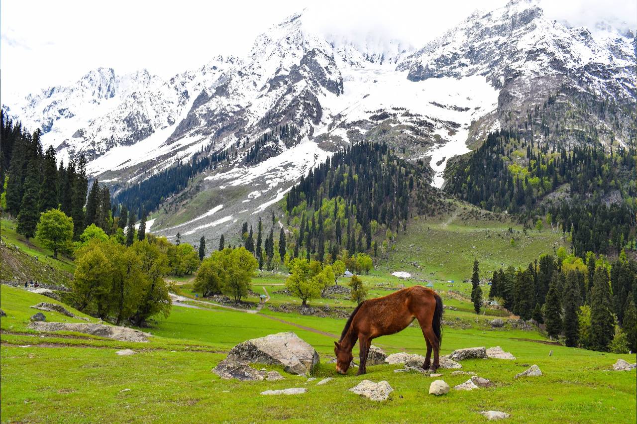 Best Selling Kashmir Tour Package